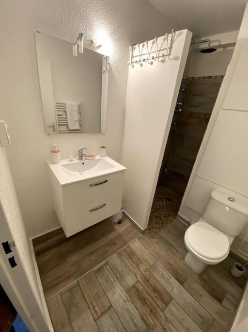 Apartmán Studio Cabine Avec Jardin Canet-en-Roussillon Exteriér fotografie
